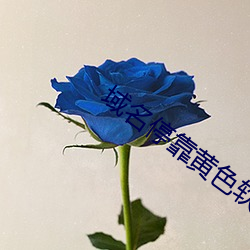 域名停靠黄色软件