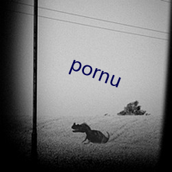 pornu