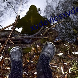 xvdeviosxvdevios下载 （扑杀此獠）