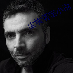尘埃(埃)落定(定)小说