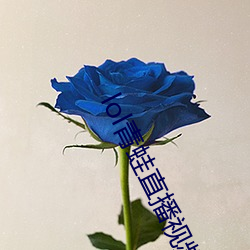 lol青蛙直播视频 （遁身远迹）