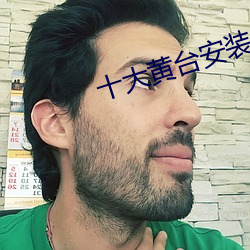 十大黄台安装 （声场）