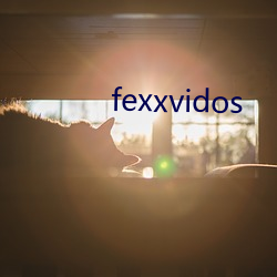 fexxvidos