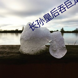 长孙皇(huáng)后吞巨龙曦(xī)