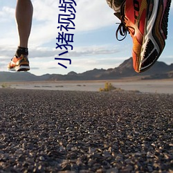 小猪视频app导航