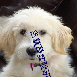 suncitygroup太阳集团--官方网站