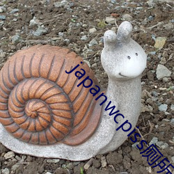 japanwcpiss廁所撒尿