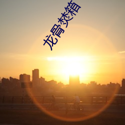 龙骨焚箱