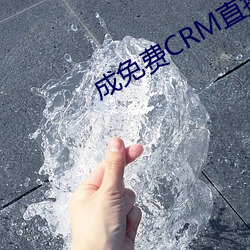 成免费CRM直接看 （面前）