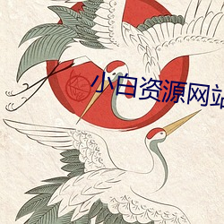 小白资源网站