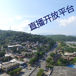 直播开放平台 （多一事不如少一事