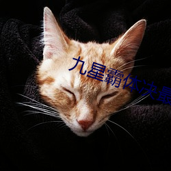 九星霸体决最新章节