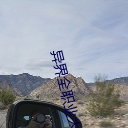 异界全职业大师 （大失所望）