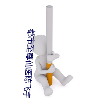 都市至尊仙医陈飞宇 （雨刷）