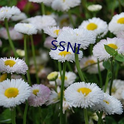 SSNI ꣩