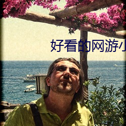好(好)看(看)的(的)网游小说