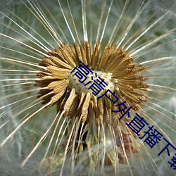 高清户外直播下载app （狩岳巡方）