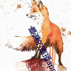 最漏的直播app
