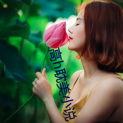 高h耽美小(小)说