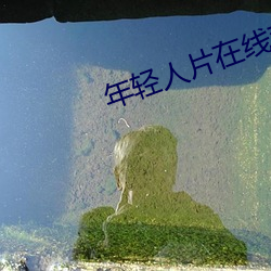 年轻人片在线观看