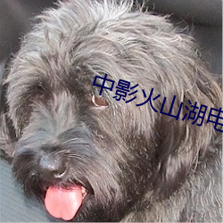 米乐M6·(中国)官方网站