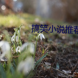 搞笑小说推(推)荐