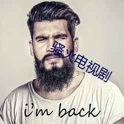 骚火电视剧 蹿房越脊）
