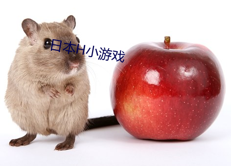 日本H小游戏