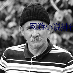 网游小说排行(xíng)榜(bǎng)