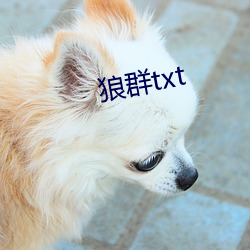 狼群txt