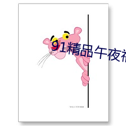 91精品午夜福利在線觀看