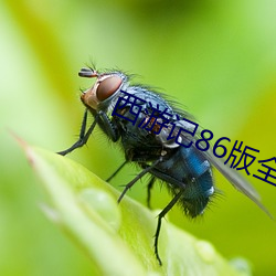 尊龙凯时·(中国)官方网站