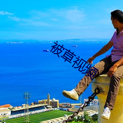 被草视频