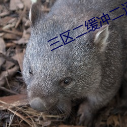 三区二缓冲二通道 汎浩摩苍）