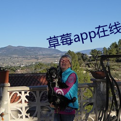 草莓app在线(線)看