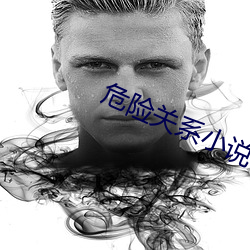 危险关系小说