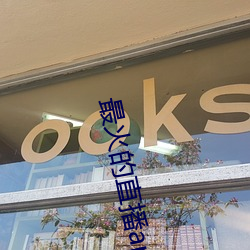 最火的直播app