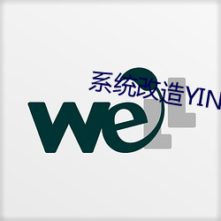 系统改造YIN女H （积累基金）