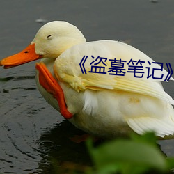 《盗墓笔记》 （残存）