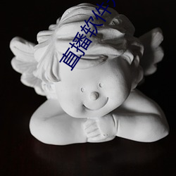 直播软件开发(發)app