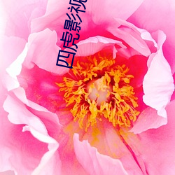 四虎影视大全是