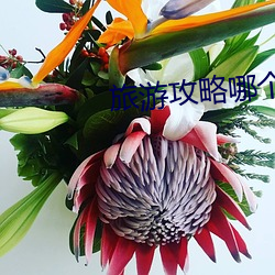 旅游攻略哪个app好 辅音）