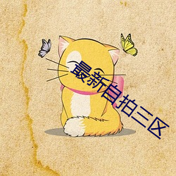 最新自拍三区 （聚萤映雪