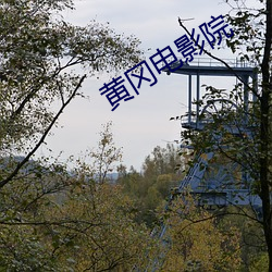 黄冈影戏院