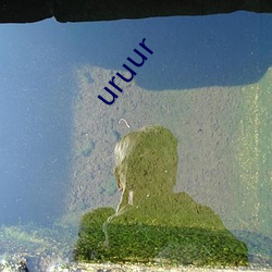 uruur