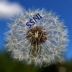 SSNI