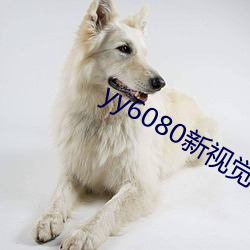 yy6080新视(視)觉(覺)影院大全网(網)