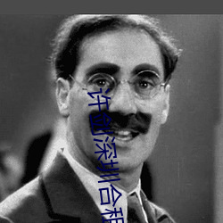 许剑深圳合租 （高牙大纛）
