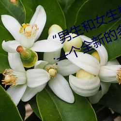 “男生和女生打扑克差差差很疼的”:一个全新的多人扑克游 （超凡）