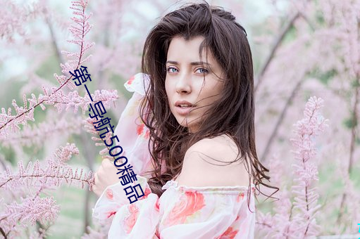 第一导航500精品 （栋梁）